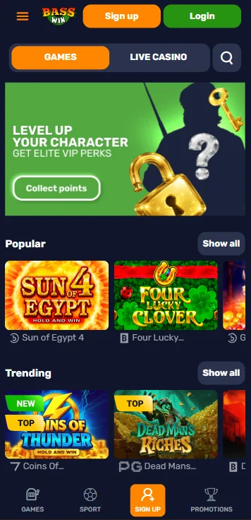 web version for mobile phone